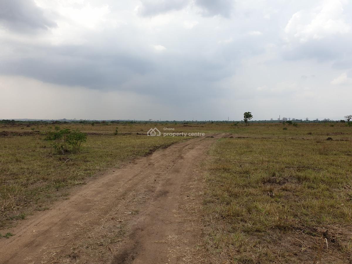 Prime Location Plot in Dawhenya, Dawhenya, Accra Metropolitan, Accra, Residential Land for Sale
