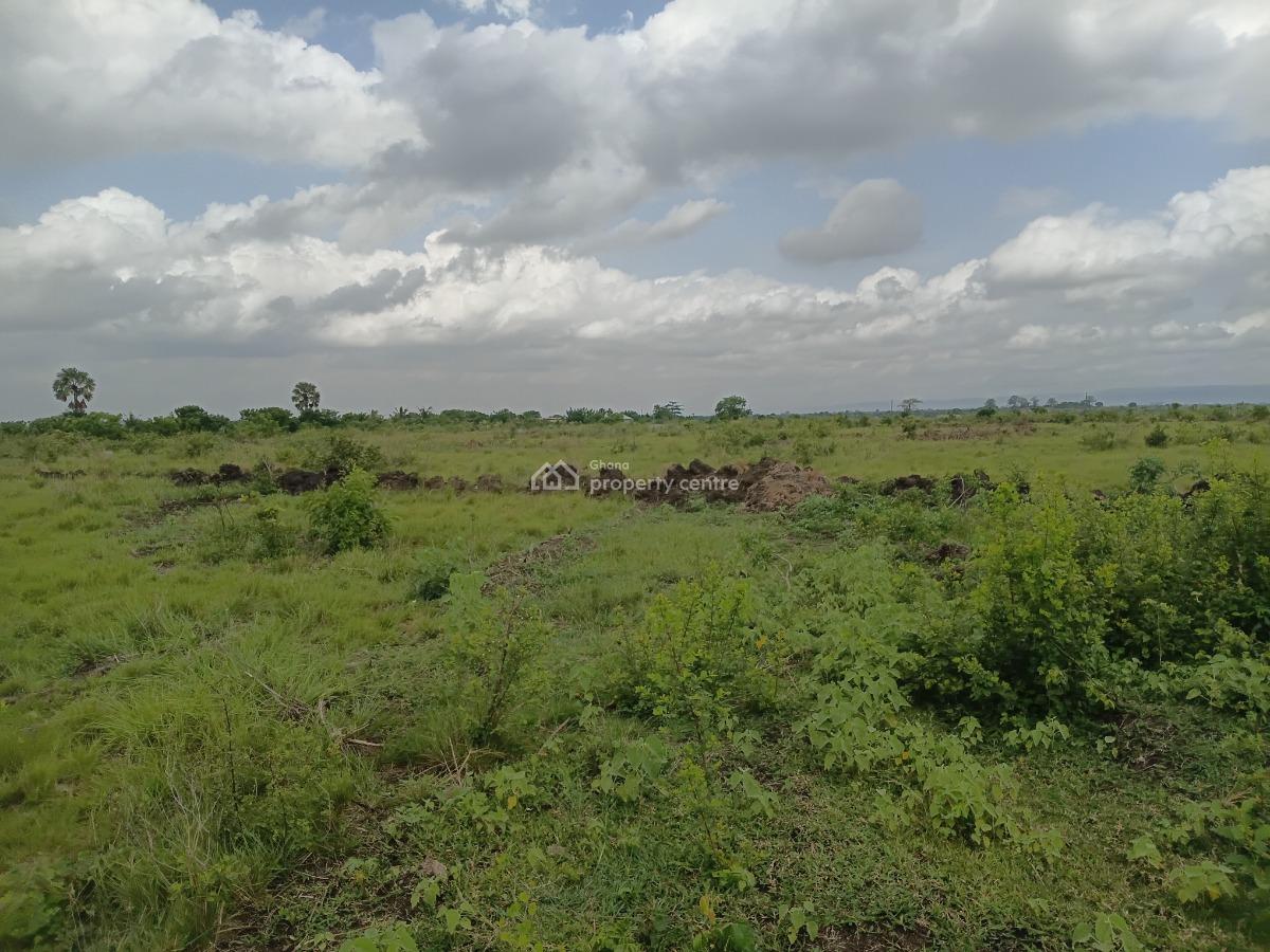 Shai Hills Half Plot -- Genuine & Secure, Naason City Project, Shai Hills, Shai Osudoku, Accra, Mixed-use Land for Sale