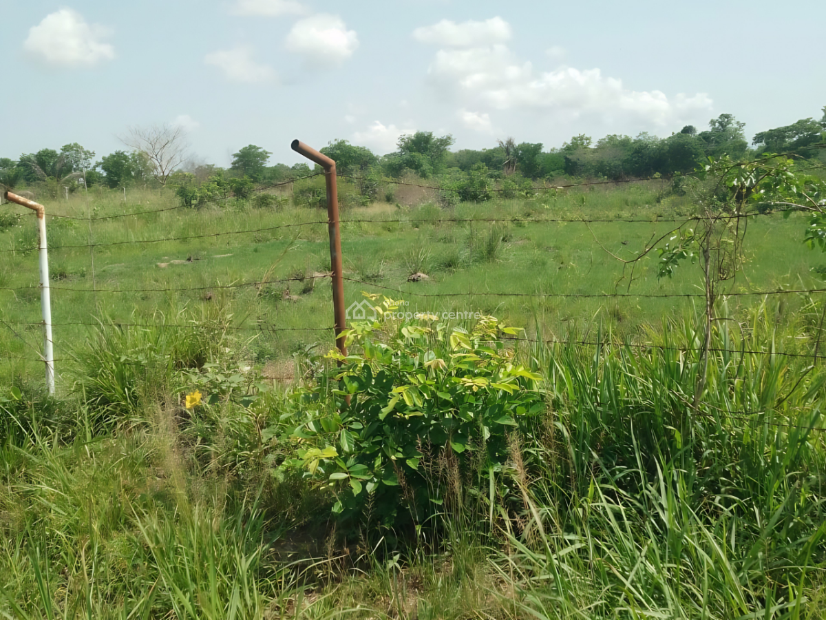 50 Acres Land  in Kpando Kudzra -- Main Road Access, Kudzra, Kpando Municipal, Volta Region, Mixed-use Land for Sale