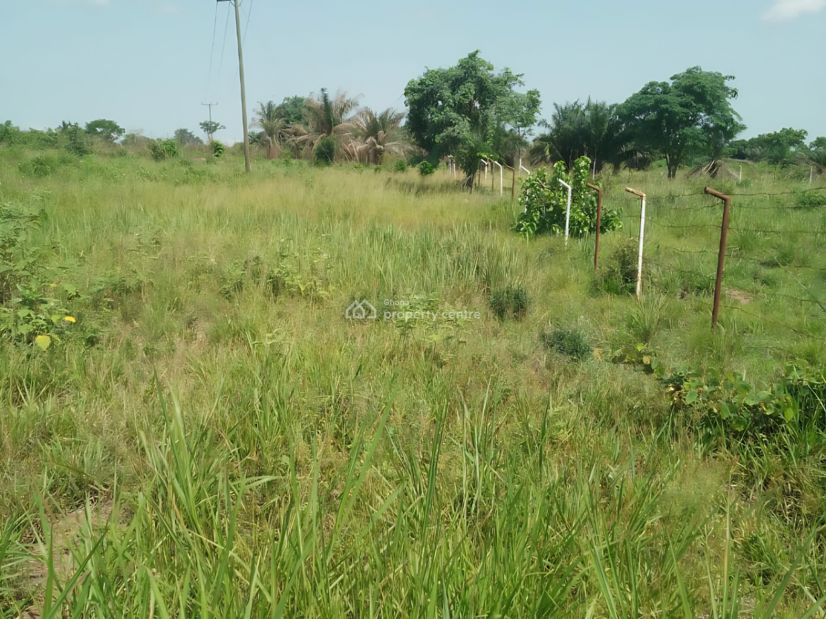 50 Acres Land  in Kpando Kudzra -- Main Road Access, Kudzra, Kpando Municipal, Volta Region, Mixed-use Land for Sale