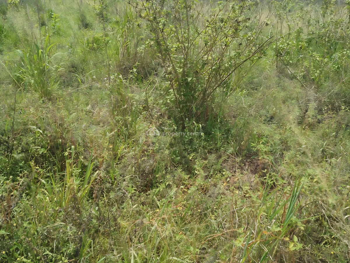 50 Acres Land  in Kpando Kudzra -- Main Road Access, Kudzra, Kpando Municipal, Volta Region, Mixed-use Land for Sale