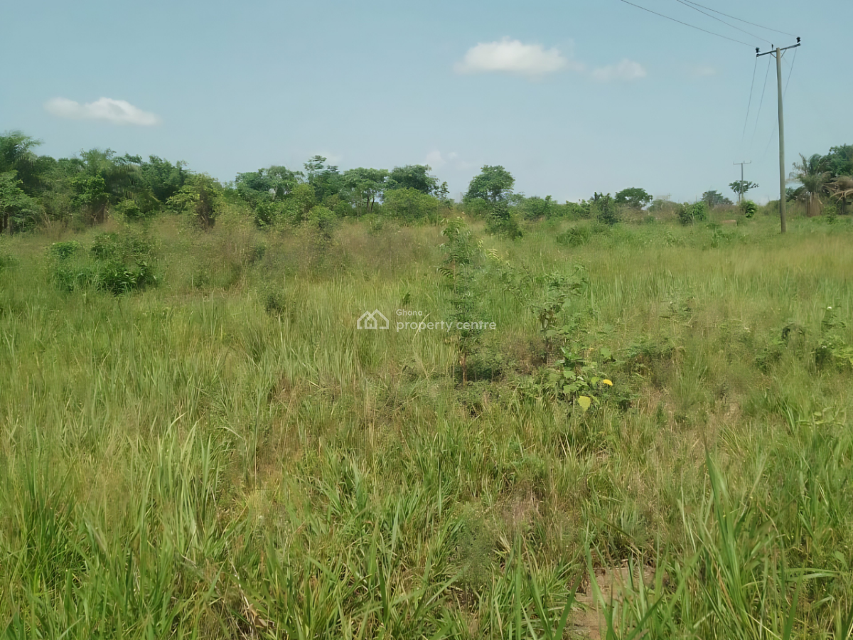 50 Acres Land  in Kpando Kudzra -- Main Road Access, Kudzra, Kpando Municipal, Volta Region, Mixed-use Land for Sale