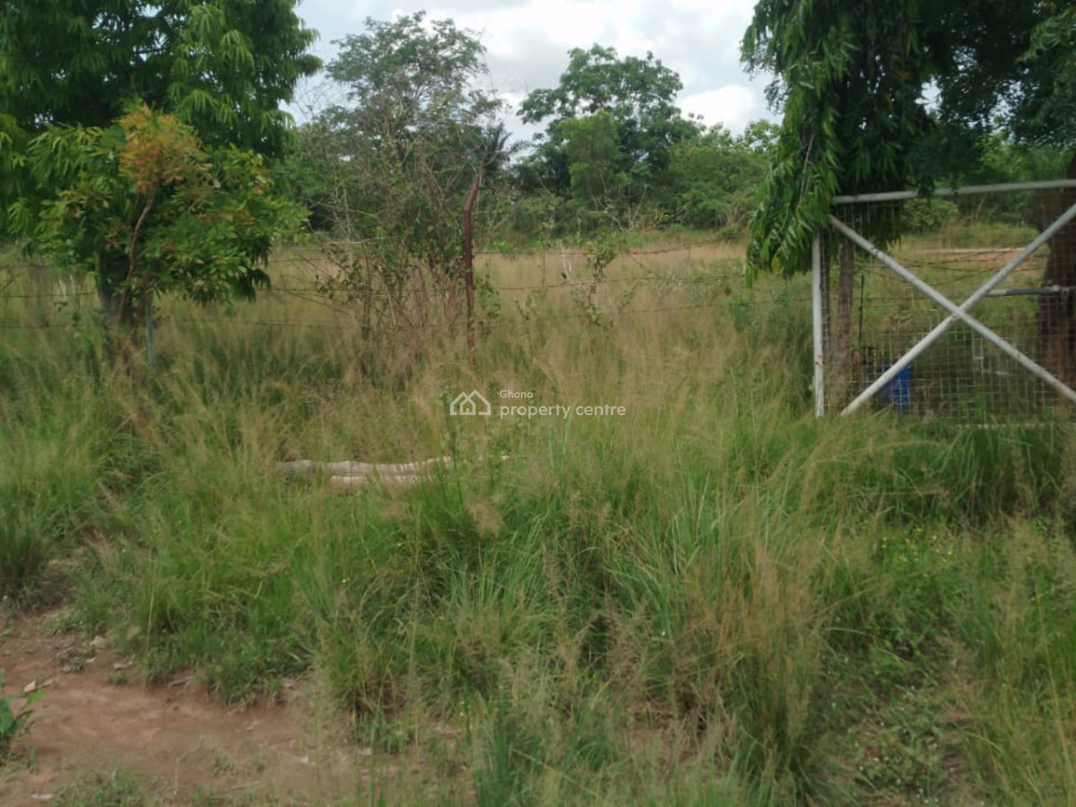 50 Acres Land  in Kpando Kudzra -- Main Road Access, Kudzra, Kpando Municipal, Volta Region, Mixed-use Land for Sale