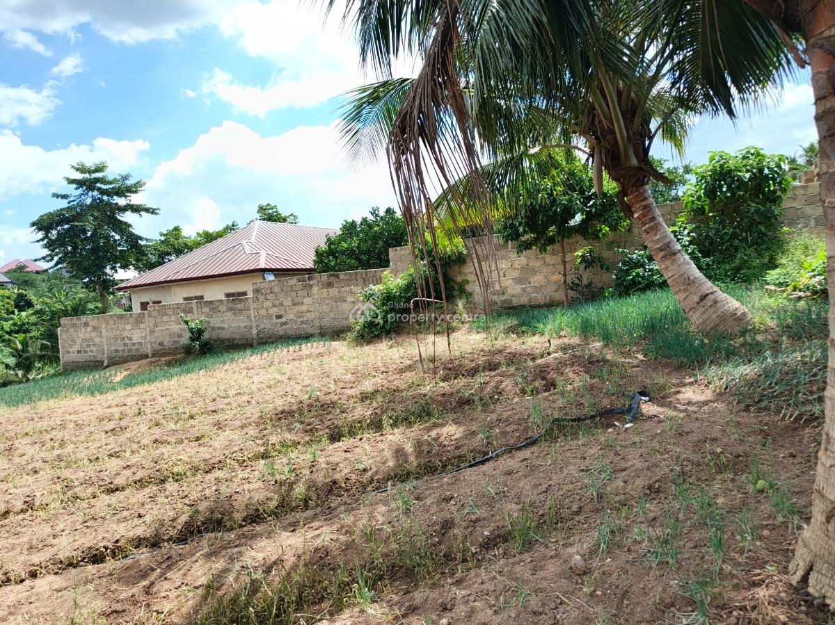 Plot.            ( 5th Plot Main Road), Asuofia Nketia. on Abrepo Road., Kumasi Metropolitan, Ashanti, Land for Sale