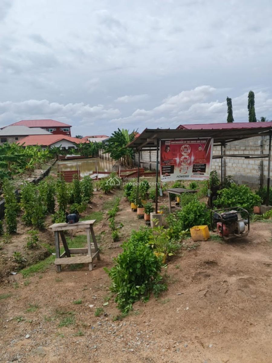Almost 4 Plots, Dansoman Hansonic Area, Mataheko, Accra, Commercial Land for Rent