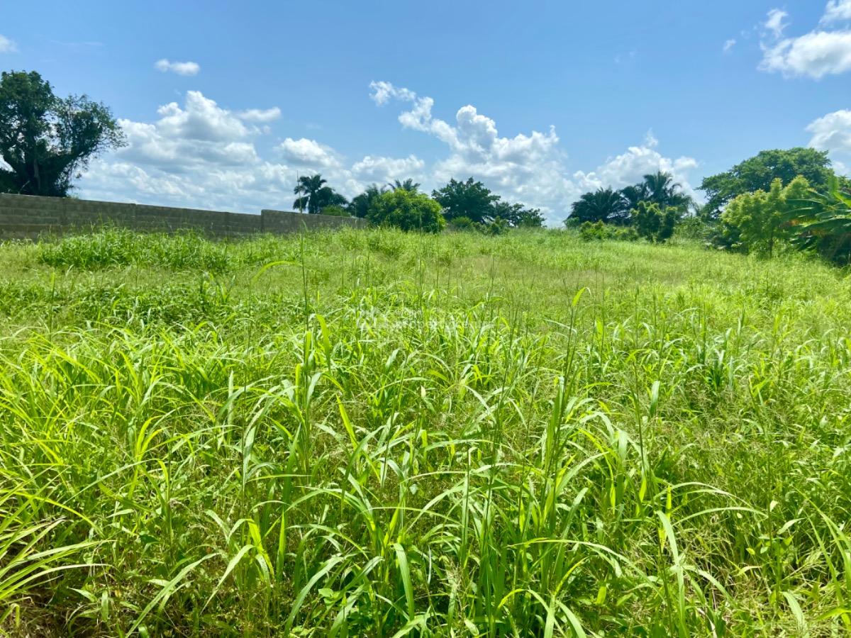 Riverfront/waterfront  Land in Sokpoe Is Available for Purchase, Accra - Aflao Highway, Sogakope - Sokpoe, Eden Paradise, South Tongu, Volta Region, Mixed-use Land for Sale