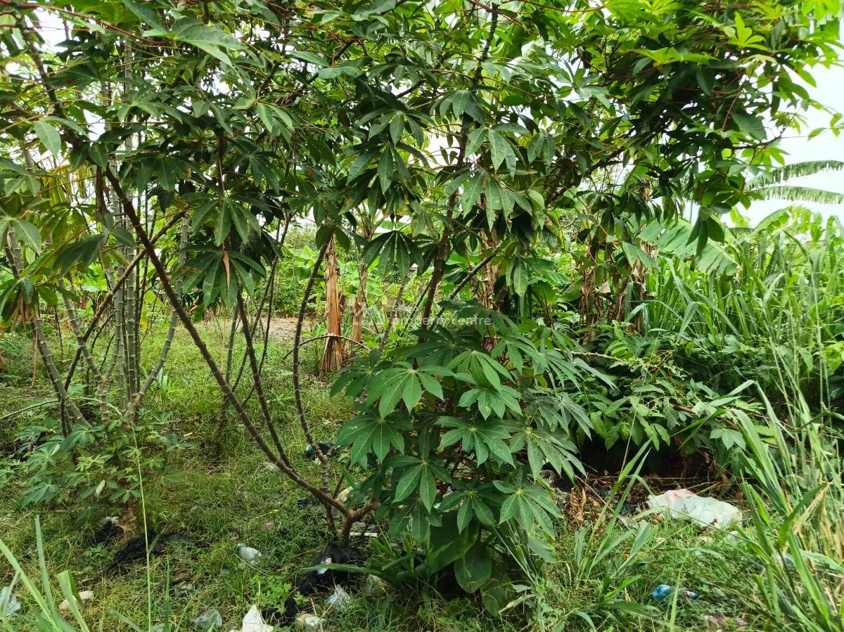 2 Plots.  ( Close to Main Road), Atimatim Maase, Near Pankrono., Kumasi Metropolitan, Ashanti, Land for Sale