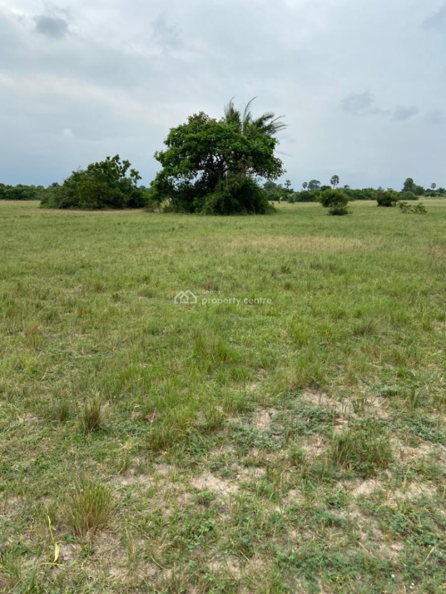 Land Available at Sogakope -- Awusakpoe, Sogakope -  Ho Adidome Road, Awusakpoe, South Tongu, Volta Region, Mixed-use Land for Sale
