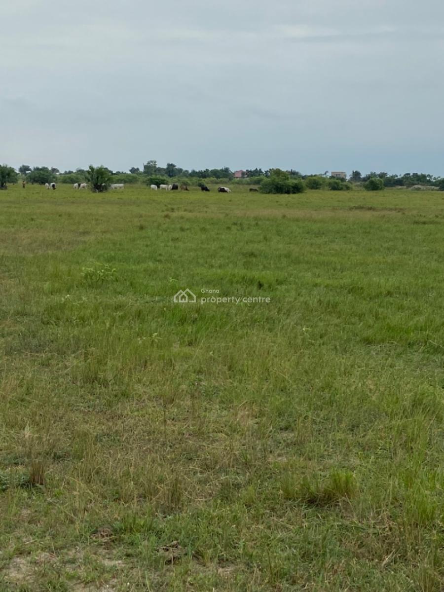 Land Available at Sogakope -- Awusakpoe, Sogakope -  Ho Adidome Road, Awusakpoe, South Tongu, Volta Region, Mixed-use Land for Sale