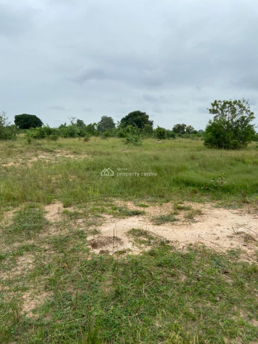 Land Available at Sogakope -- Awusakpoe, Sogakope -  Ho Adidome Road, Awusakpoe, South Tongu, Volta Region, Mixed-use Land for Sale