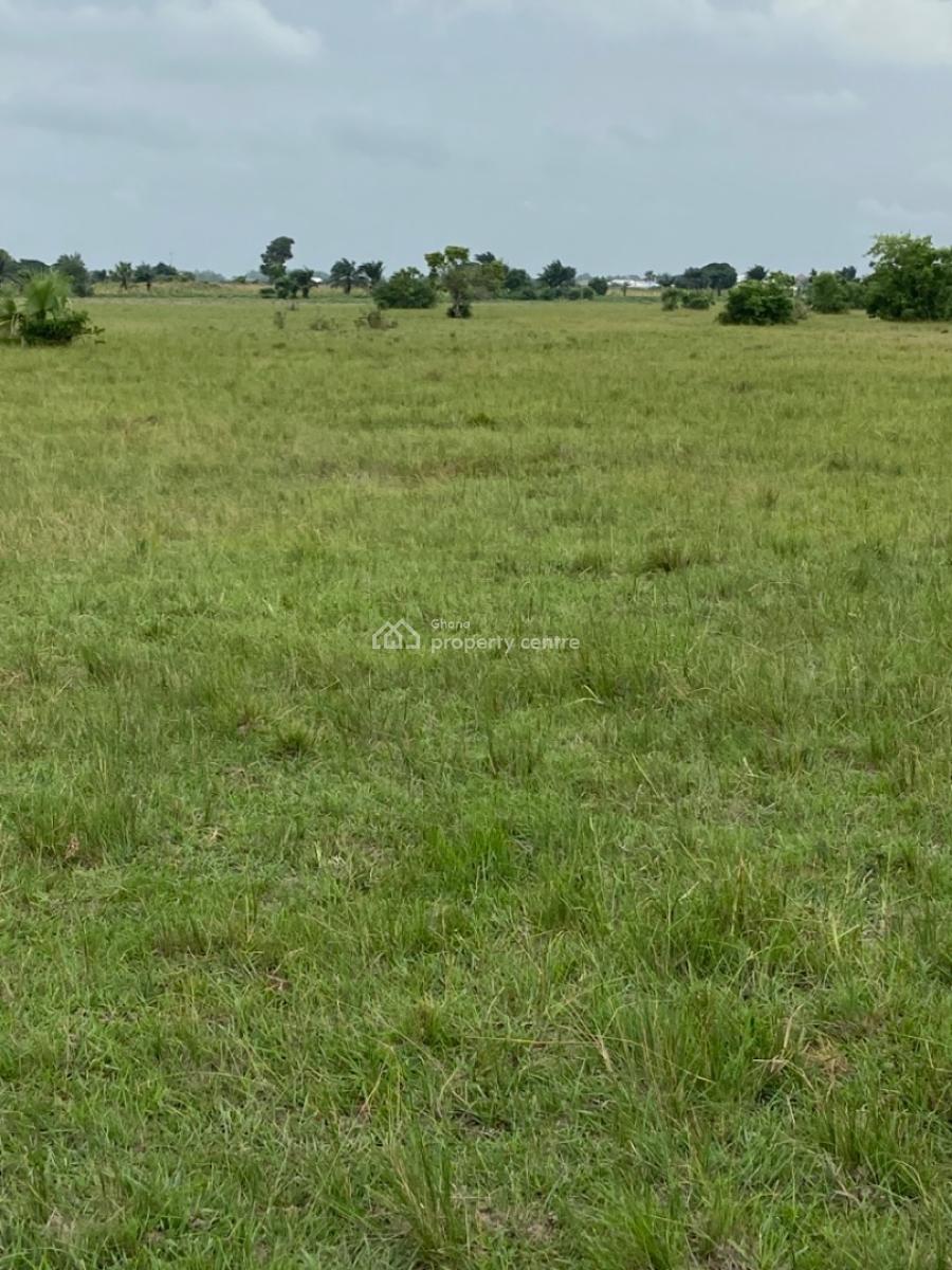 Land Available at Sogakope -- Awusakpoe, Sogakope -  Ho Adidome Road, Awusakpoe, South Tongu, Volta Region, Mixed-use Land for Sale