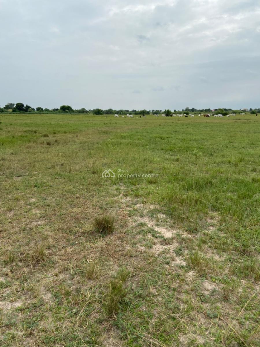 Land Available at Sogakope -- Awusakpoe, Sogakope -  Ho Adidome Road, Awusakpoe, South Tongu, Volta Region, Mixed-use Land for Sale