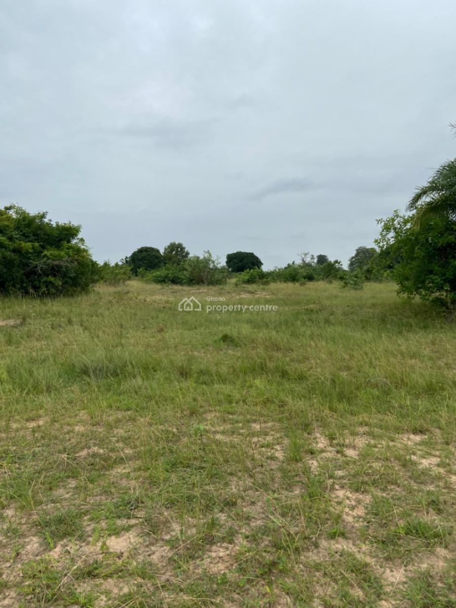 Land Available at Sogakope -- Awusakpoe, Sogakope -  Ho Adidome Road, Awusakpoe, South Tongu, Volta Region, Mixed-use Land for Sale