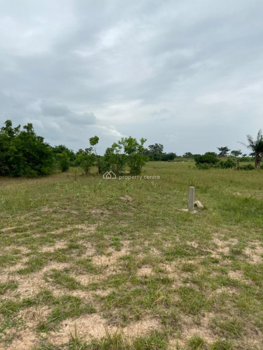 Land Available at Sogakope -- Awusakpoe, Sogakope -  Ho Adidome Road, Awusakpoe, South Tongu, Volta Region, Mixed-use Land for Sale