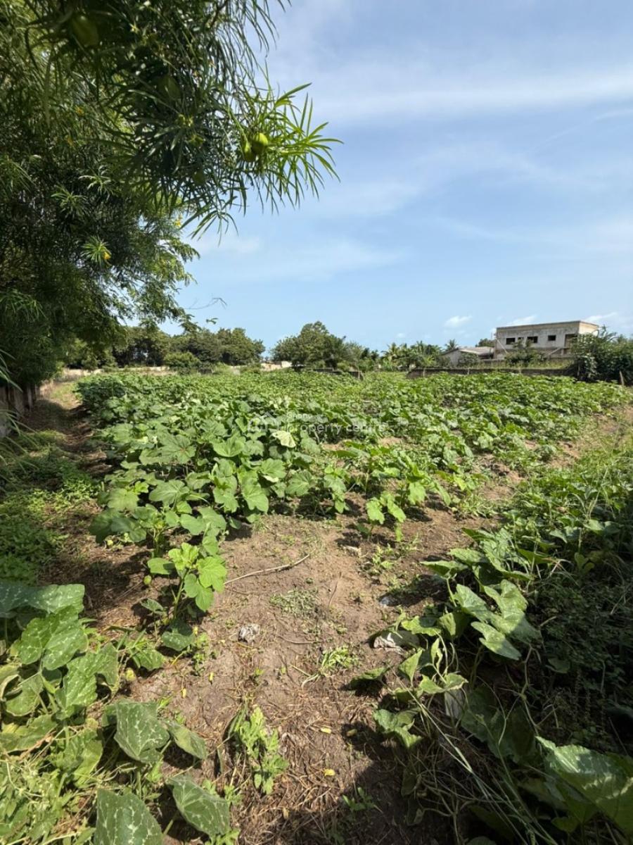 Executive 2 Plots of Land, Ga South Municipal, Accra, Land for Sale