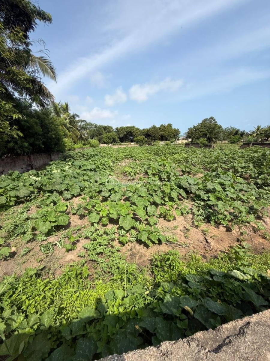 Executive 2 Plots of Land, Ga South Municipal, Accra, Land for Sale