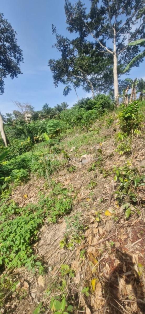 Registered Freehold 2 Plots Land, Aburi Mountains, Apostolic Church, Aburi, Akuapim South Municipal, Eastern Region, Land for Sale
