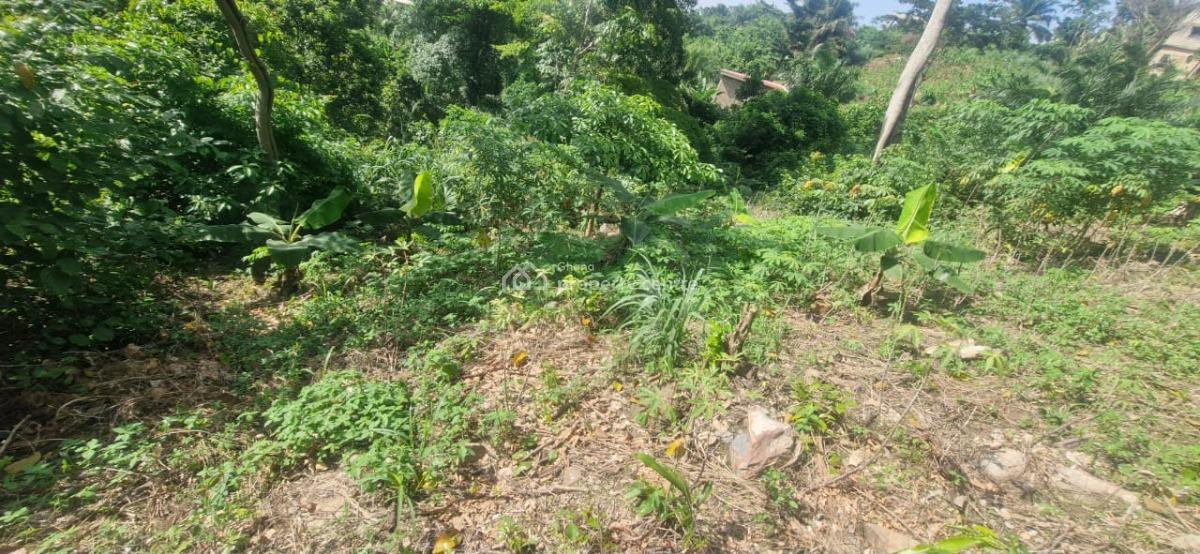 Registered Freehold 2 Plots Land, Aburi Mountains, Apostolic Church, Aburi, Akuapim South Municipal, Eastern Region, Land for Sale