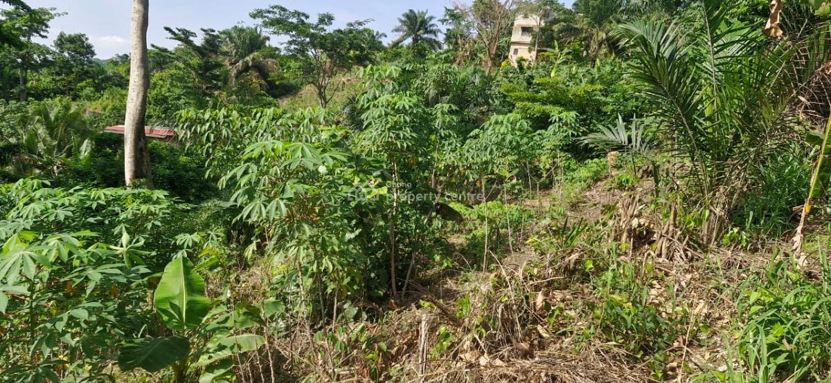 Registered Freehold 2 Plots Land, Aburi Mountains, Apostolic Church, Aburi, Akuapim South Municipal, Eastern Region, Land for Sale