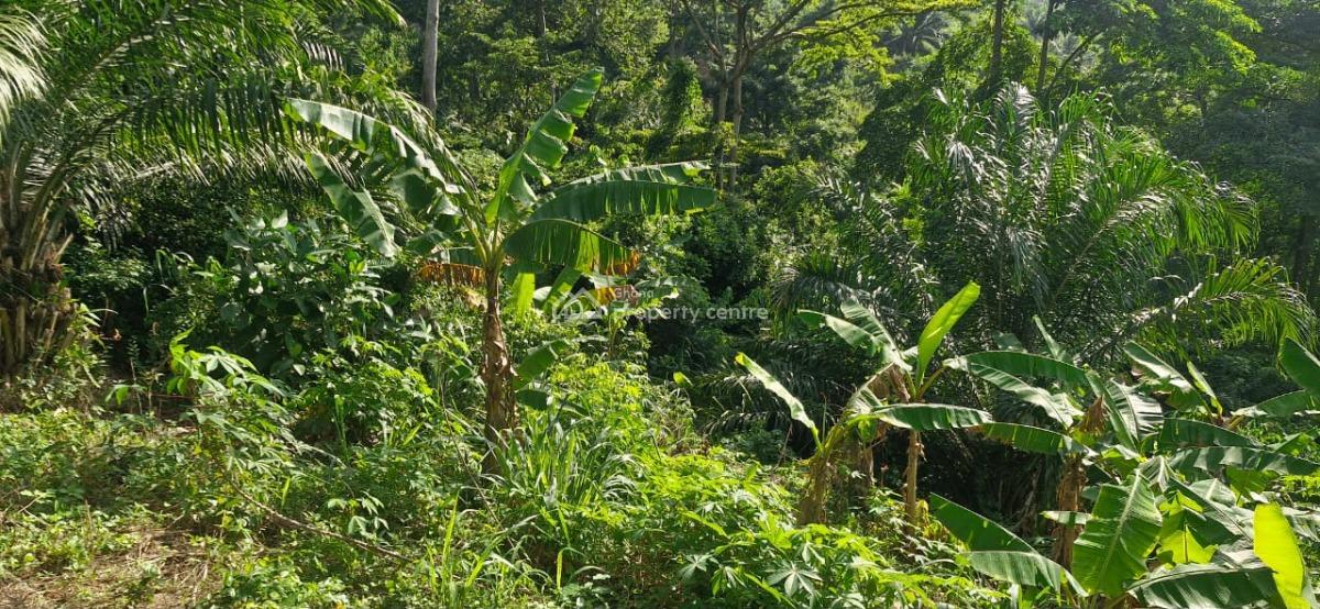 Registered Freehold 2 Plots Land, Aburi Mountains, Apostolic Church, Aburi, Akuapim South Municipal, Eastern Region, Land for Sale
