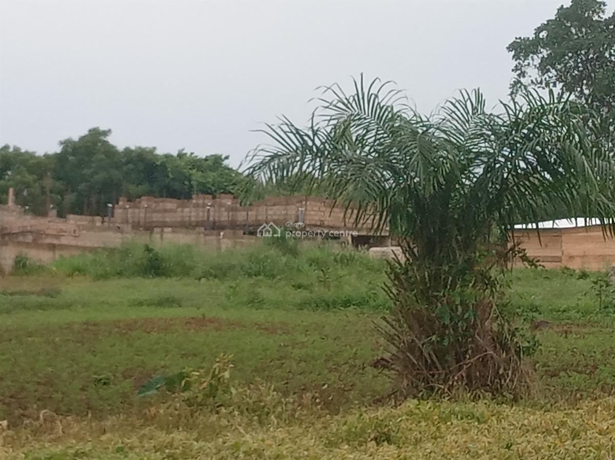 4 Prime Plots Near Aamusted Campus Mampong -- Ideal for Hostels, Gwcl Head Works Road, Mampong Municipal, Ashanti, Land for Sale
