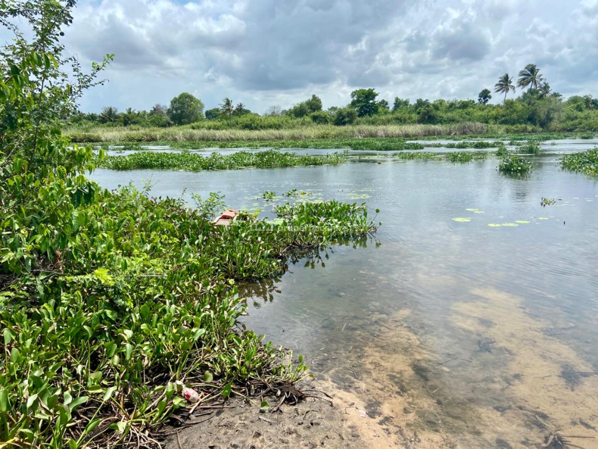 Riverfront Land for Purchase -- Agave (south Tongu), Volta Region, Sogakope, Agave-kuve, Ghana, South Tongu, Volta Region, Mixed-use Land for Sale