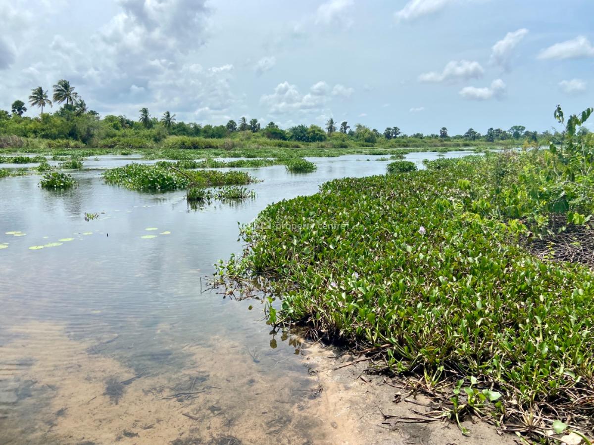 Riverfront Land for Purchase -- Agave (south Tongu), Volta Region, Sogakope, Agave-kuve, Ghana, South Tongu, Volta Region, Mixed-use Land for Sale