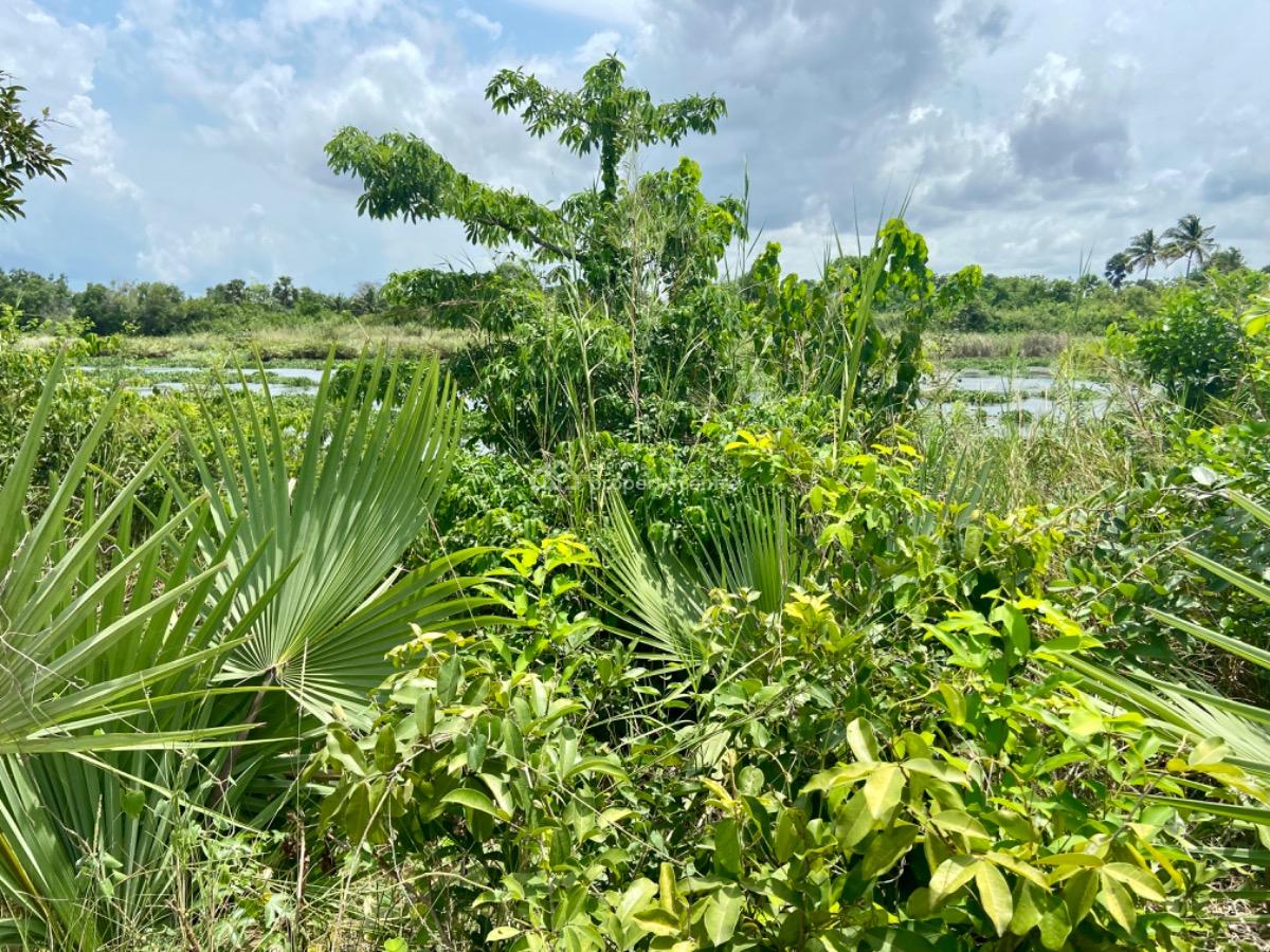 Riverfront Land for Purchase -- Agave (south Tongu), Volta Region, Sogakope, Agave-kuve, Ghana, South Tongu, Volta Region, Mixed-use Land for Sale