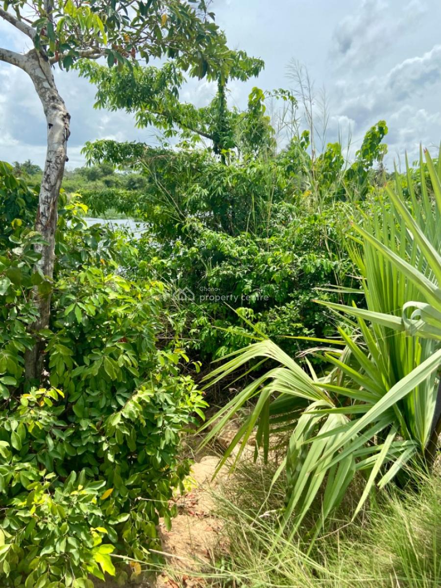 Riverfront Land for Purchase -- Agave (south Tongu), Volta Region, Sogakope, Agave-kuve, Ghana, South Tongu, Volta Region, Mixed-use Land for Sale