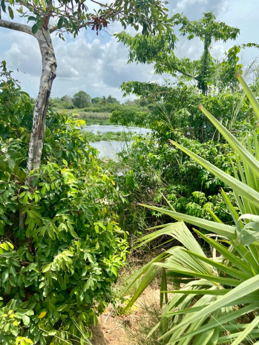 Riverfront Land for Purchase -- Agave (south Tongu), Volta Region, Sogakope, Agave-kuve, Ghana, South Tongu, Volta Region, Mixed-use Land for Sale