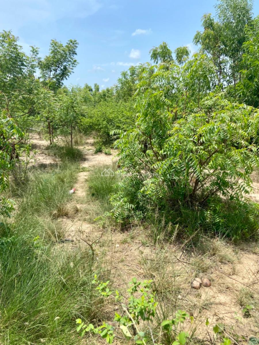 Riverfront Land for Purchase -- Agave (south Tongu), Volta Region, Sogakope, Agave-kuve, Ghana, South Tongu, Volta Region, Mixed-use Land for Sale