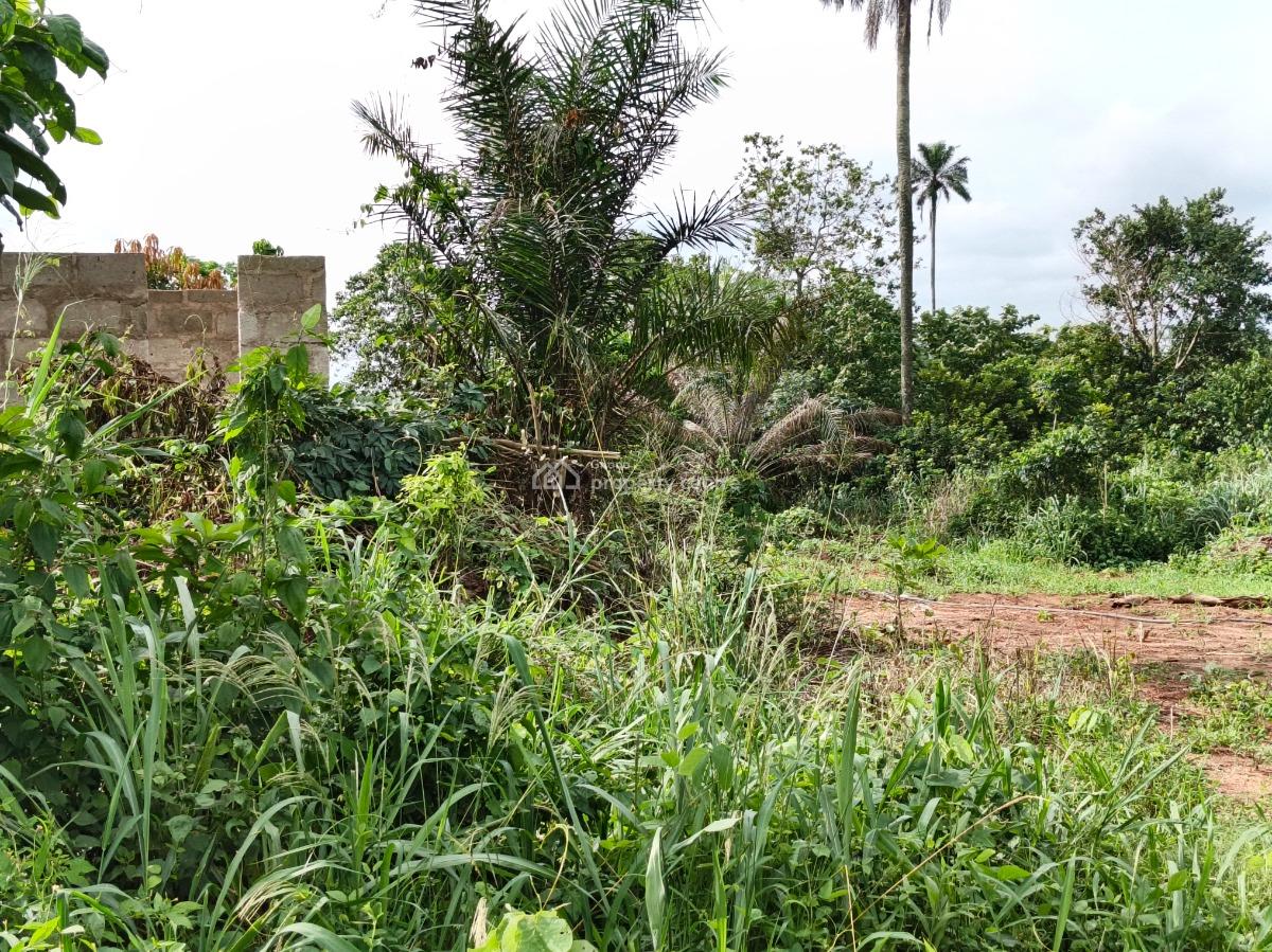 Plot, Asonomaso Sarfo, Near Mampongteng., Kumasi Metropolitan, Ashanti, Residential Land for Sale