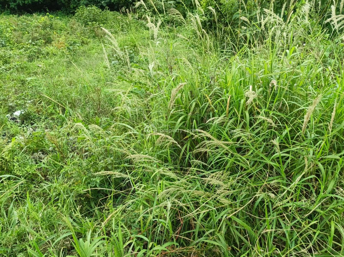 25 Acres Farm Land, Aputuogya Bekwai Road, Bekwai Municipal, Ashanti, Mixed-use Land for Sale