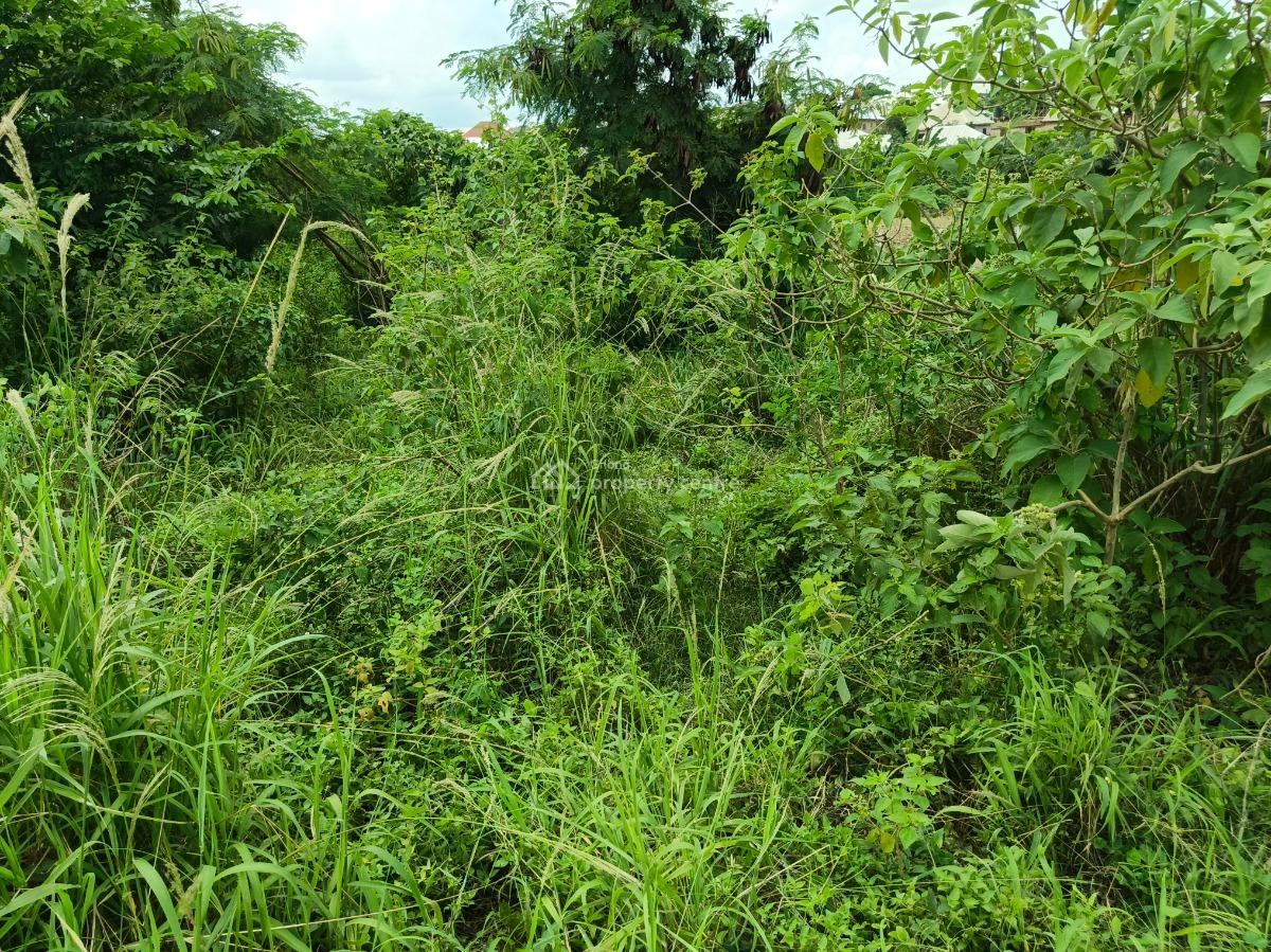 25 Acres Farm Land, Aputuogya Bekwai Road, Bekwai Municipal, Ashanti, Mixed-use Land for Sale