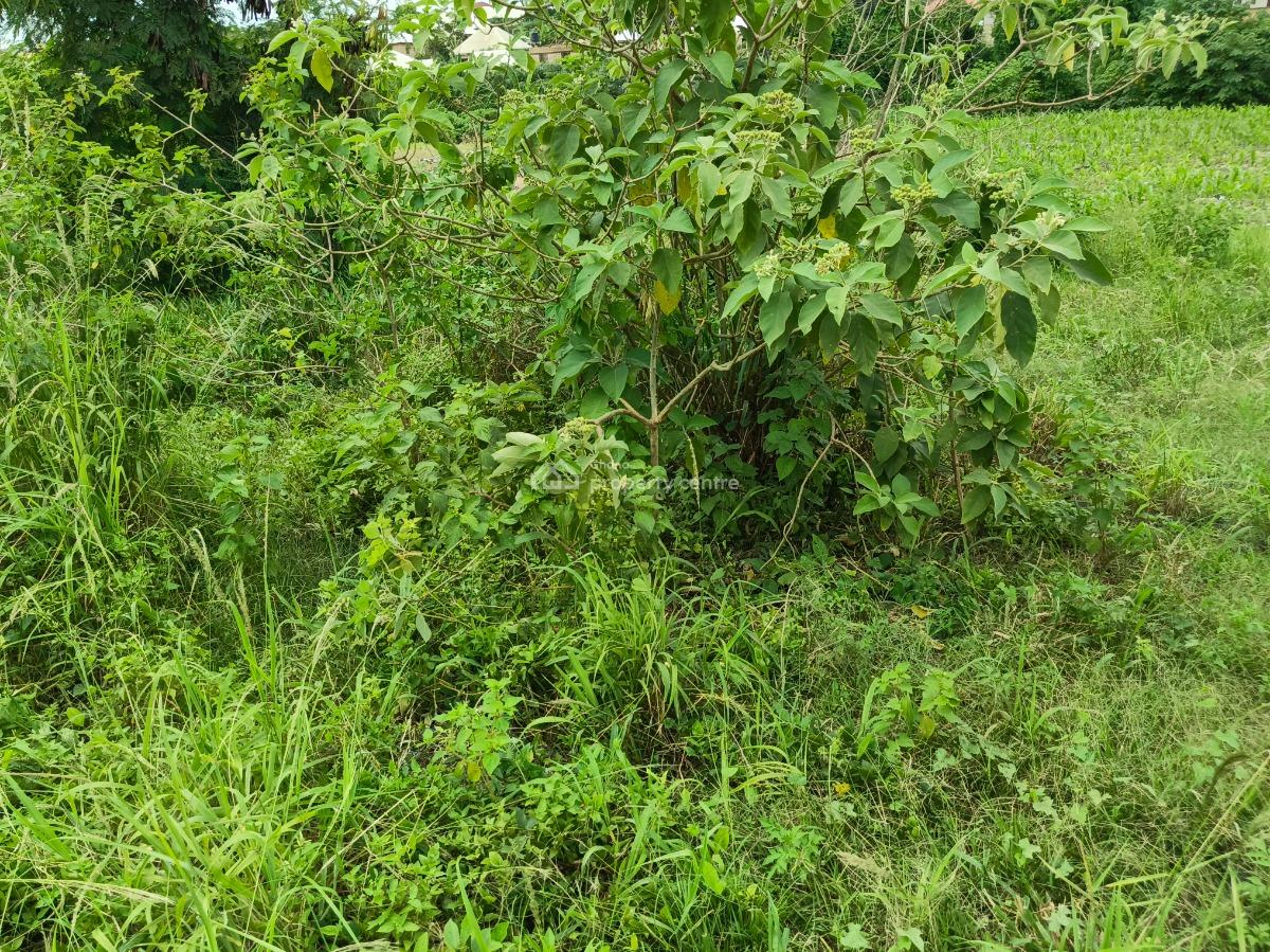 25 Acres Farm Land, Aputuogya Bekwai Road, Bekwai Municipal, Ashanti, Mixed-use Land for Sale