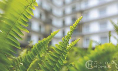 Furnished 1 Bedroom  - The Lennox By Clifton Homes, Patrice Lumumba Street, Airport Residential Area, Accra, Apartment for Rent
