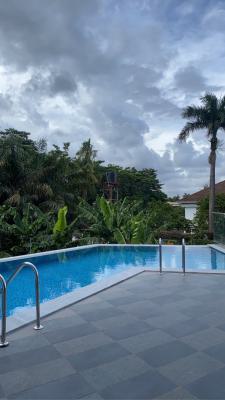 Fully Furnished Studio Apartment with Swimming Pool and Gym, Cantonments, Accra, Single Room Self Contained for Rent