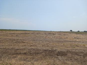 Dawhenya - Newly Demarcated Lands., Central University Street, Dawhenya, Tema, Accra, Mixed-use Land for Sale