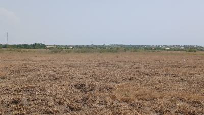 Developing Prime Community Lands - Tsopoli, Bueko - Police Barrier, Tsopoli, Ningo Prampram District, Accra, Land for Sale