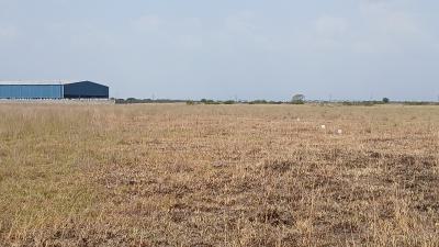 Tsopoli- Genuine Plots Close to The Proposed Airport., Tsopoli, Ningo Prampram District, Accra, Residential Land for Sale