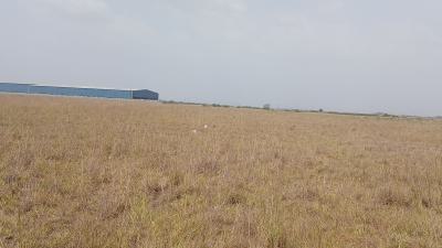 Dawhenya(bu3ko)- Plots with Genuine Certificates, Dawhenya, Tema, Accra, Residential Land for Sale