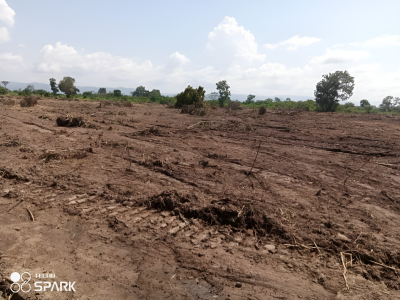 Valuable Titled Land at Dodowa, Dodowa, Shai Osudoku, Accra, Land for Sale