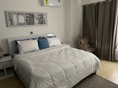 Luxury 1 Bedroom Apartment