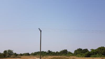Exciting Promotion on Plots, Police Barrier, Tsopoli, Ningo Prampram District, Accra, Residential Land for Sale