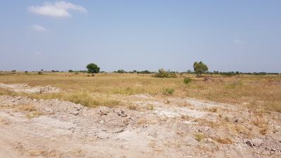 Affordable Opportunity to Invest, Tsopoli, Ningo Prampram District, Accra, Mixed-use Land for Sale