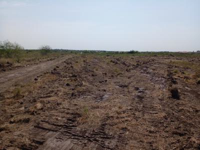 Affordable Plots at Tsopoli, Tsopoli Police Barrier, Tsopoli, Ningo Prampram District, Accra, Mixed-use Land for Sale