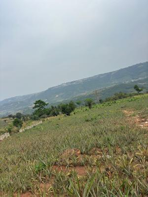 2 Plots of Land, Pokrom, Aburi, Akuapim South Municipal, Eastern Region, Mixed-use Land for Sale