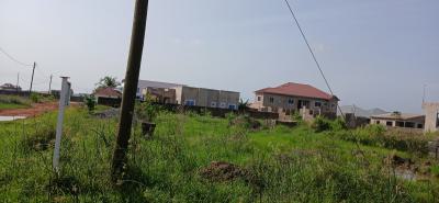Prime Location Plots - Avenue 302, Prampram, Oasis International Training Center, Prampram, Ningo Prampram District, Accra, Mixed-use Land for Sale