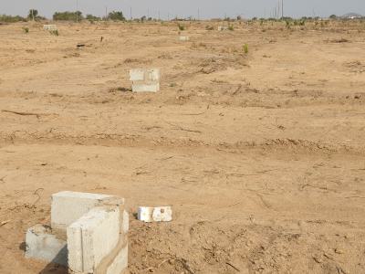 Home-grown Happiness- Plots in Cedar Court, Devtraco Road, Community 25, Tema, Accra, Mixed-use Land for Sale