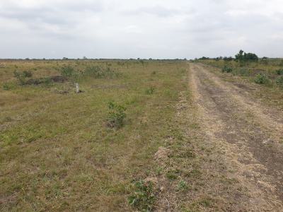 Clean Soil for Your Clear Plans- Destination Residence, Police Barrier, Tsopoli, Ningo Prampram District, Accra, Mixed-use Land for Sale